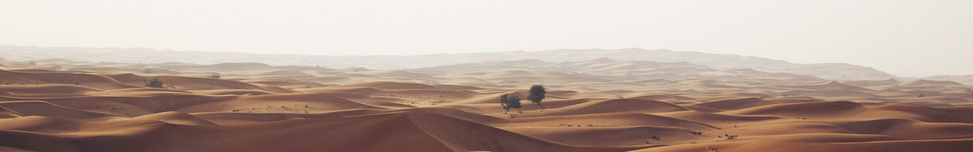 ŵؿƼ޹˾
